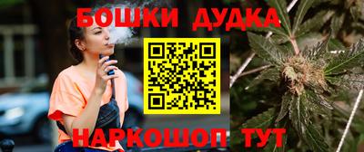 МДПВ Татарск