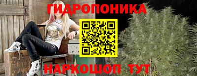 гидропоника Тверь